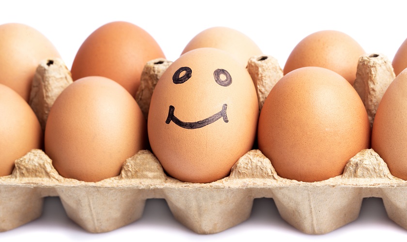 Consumo de huevos y enfermedades cardiovasculares